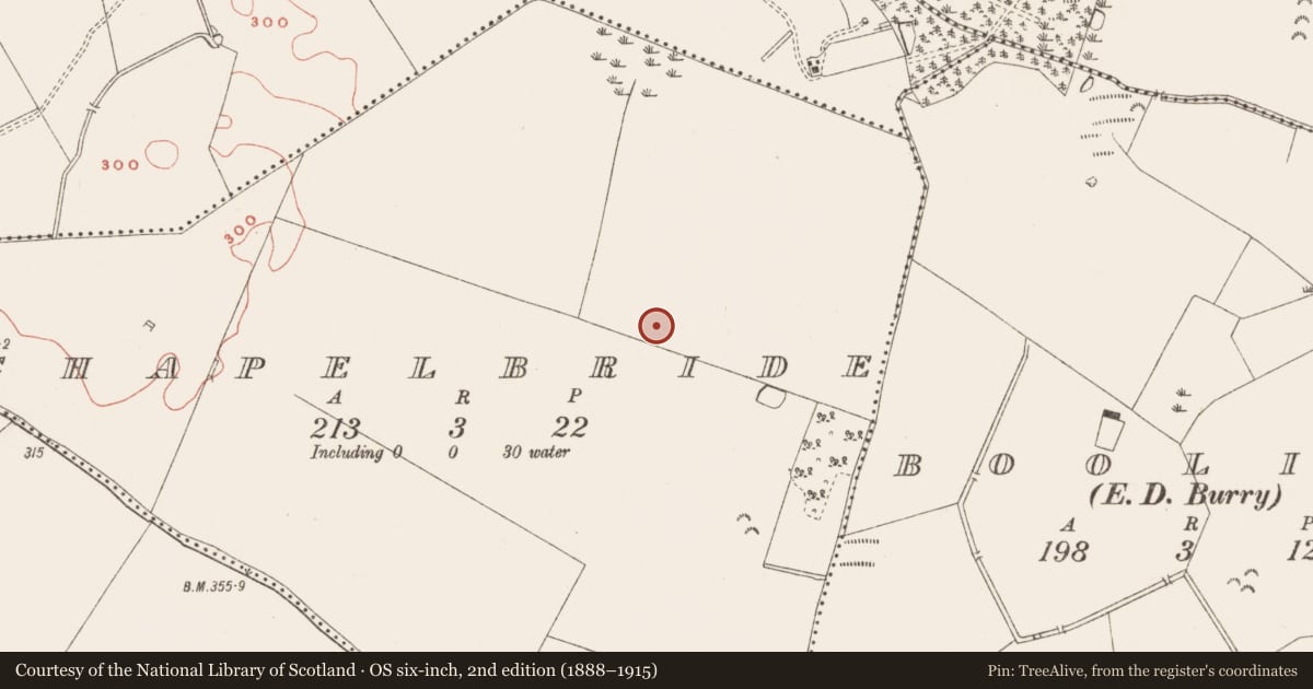 Ordnance Survey six-inch map, 2nd edition (1888–1915) covering the location of Hut site, Chapelbride, County Meath, with a pin at the register's coordinates