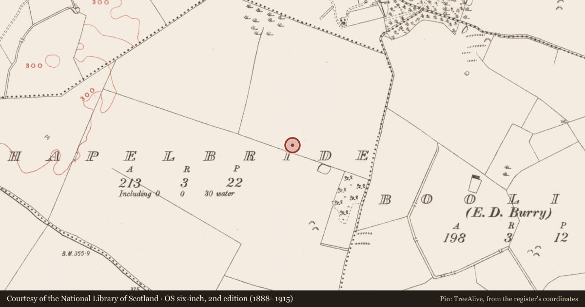 Ordnance Survey six-inch map, 2nd edition (1888–1915) covering the location of Structure, Chapelbride, County Meath, with a pin at the register's coordinates