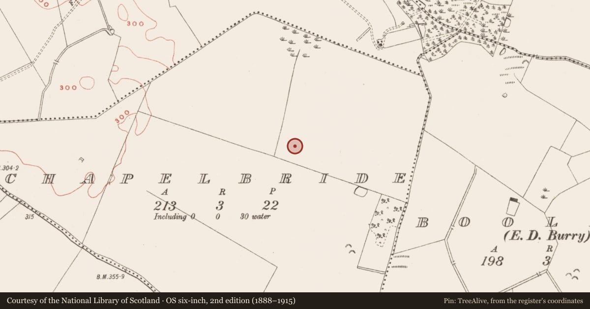 Ordnance Survey six-inch map, 2nd edition (1888–1915) covering the location of Kiln - corn-drying, Chapelbride, County Meath, with a pin at the register's coordinates