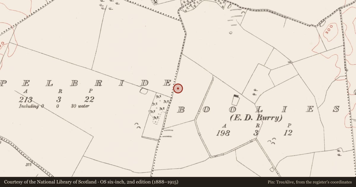Ordnance Survey six-inch map, 2nd edition (1888–1915) covering the location of Fulacht fia, Boolies, County Meath, with a pin at the register's coordinates