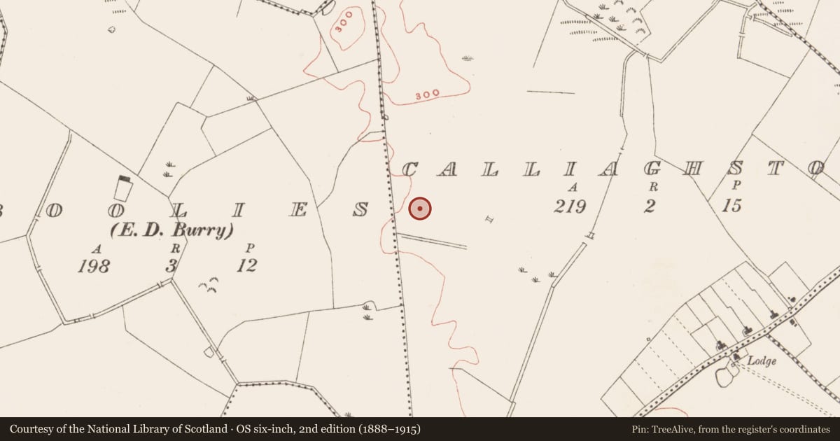Ordnance Survey six-inch map, 2nd edition (1888–1915) covering the location of Fulacht fia, Calliaghstown, County Meath, with a pin at the register's coordinates