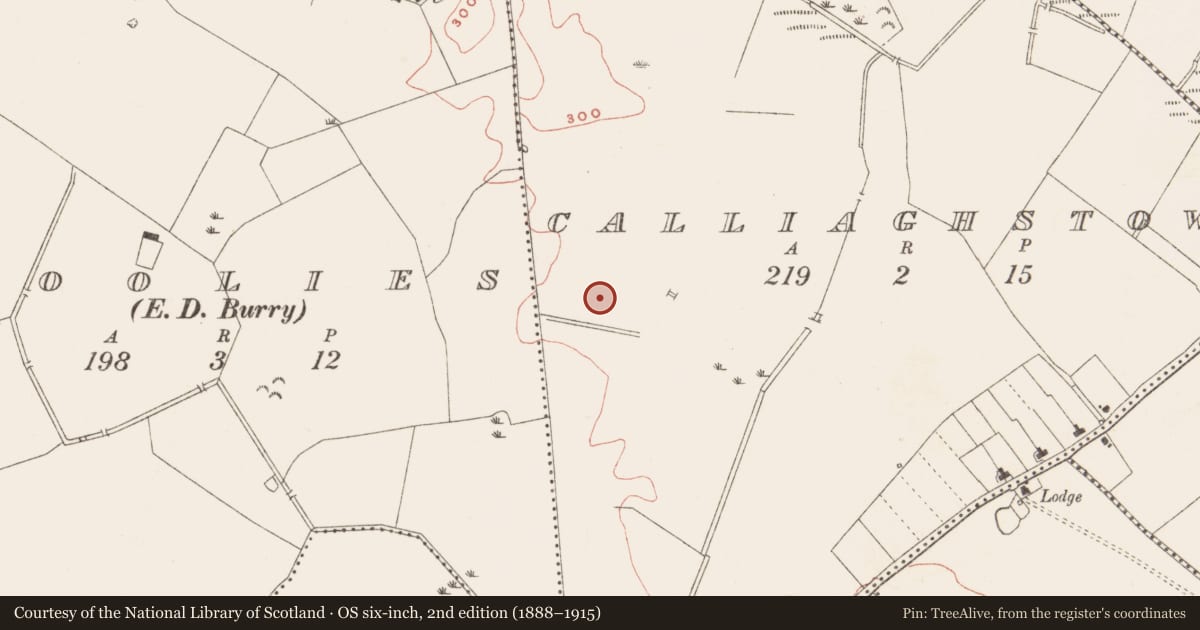 Ordnance Survey six-inch map, 2nd edition (1888–1915) covering the location of Fulacht fia, Calliaghstown, County Meath, with a pin at the register's coordinates
