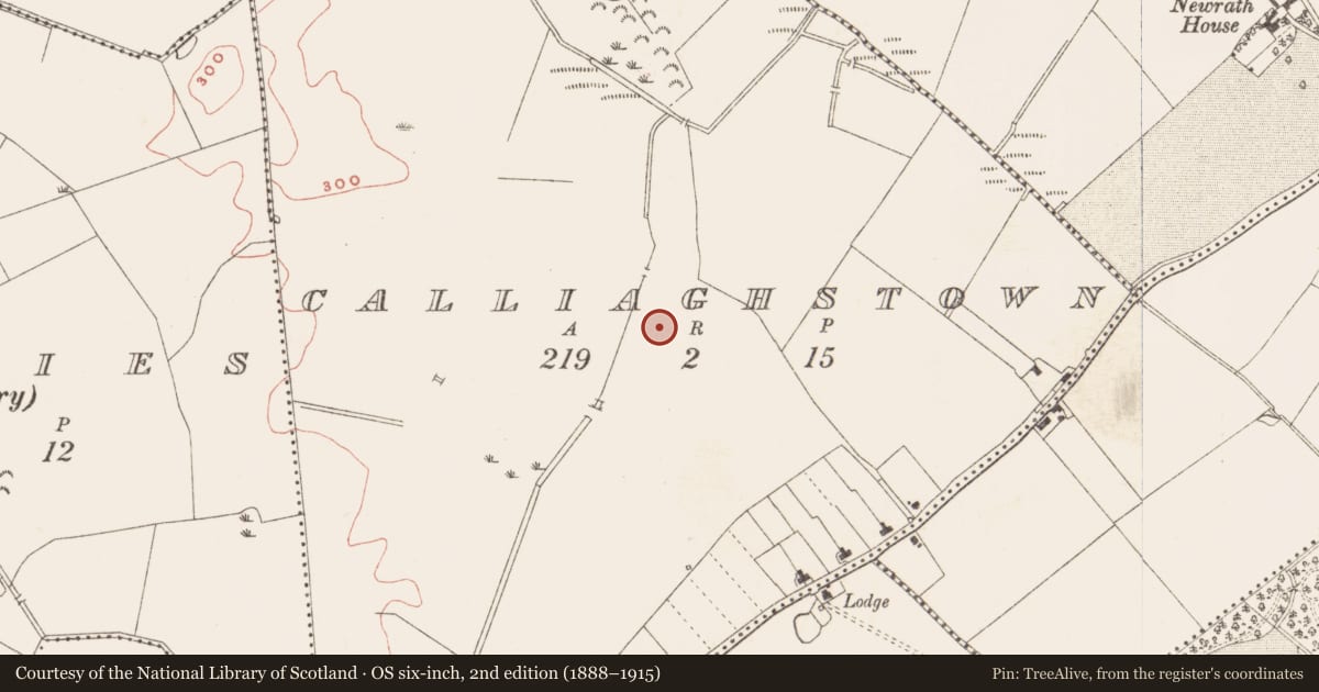 Ordnance Survey six-inch map, 2nd edition (1888–1915) covering the location of Ring-ditch, Calliaghstown, County Meath, with a pin at the register's coordinates