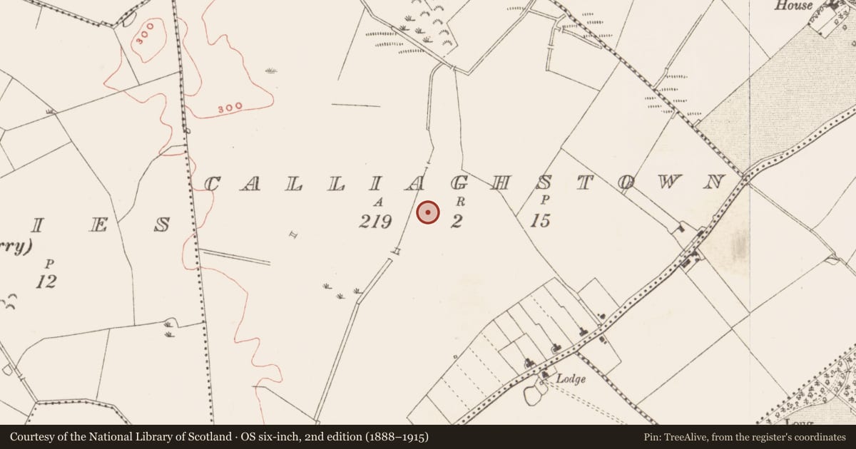 Ordnance Survey six-inch map, 2nd edition (1888–1915) covering the location of Enclosure, Calliaghstown, County Meath, with a pin at the register's coordinates