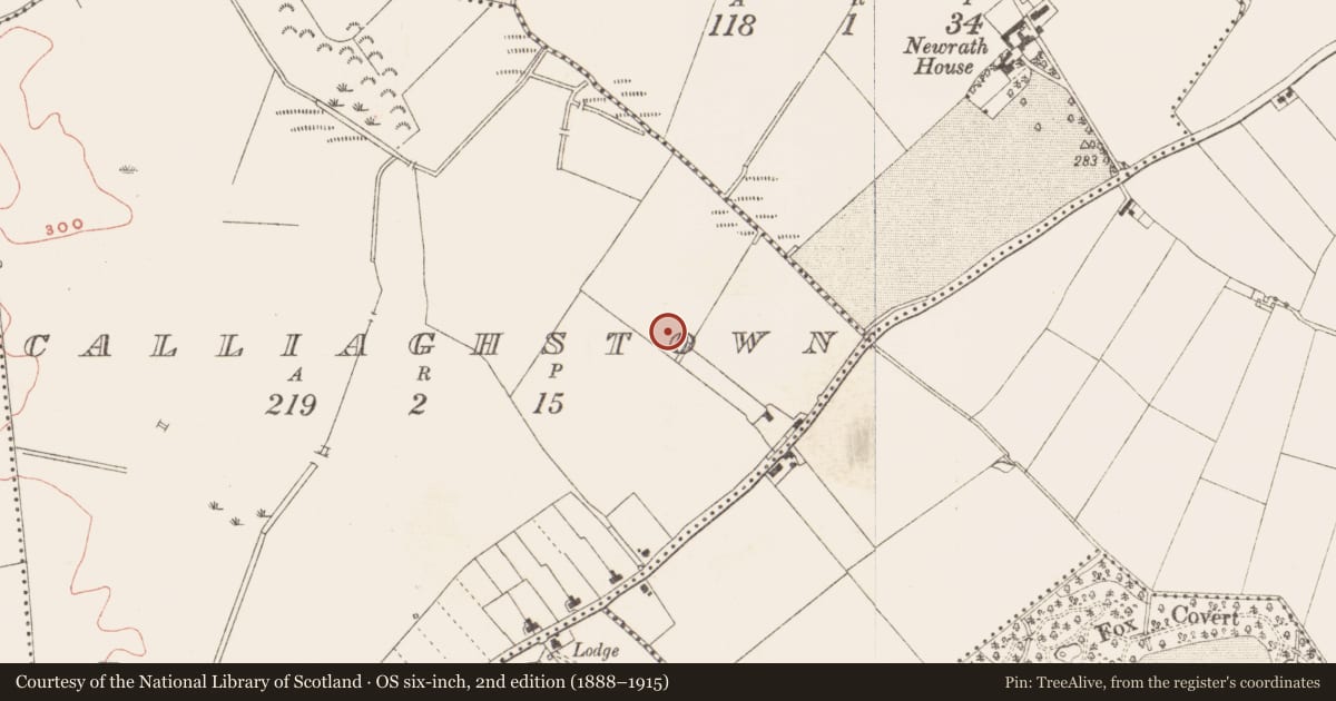 Ordnance Survey six-inch map, 2nd edition (1888–1915) covering the location of Pit, Calliaghstown, County Meath, with a pin at the register's coordinates