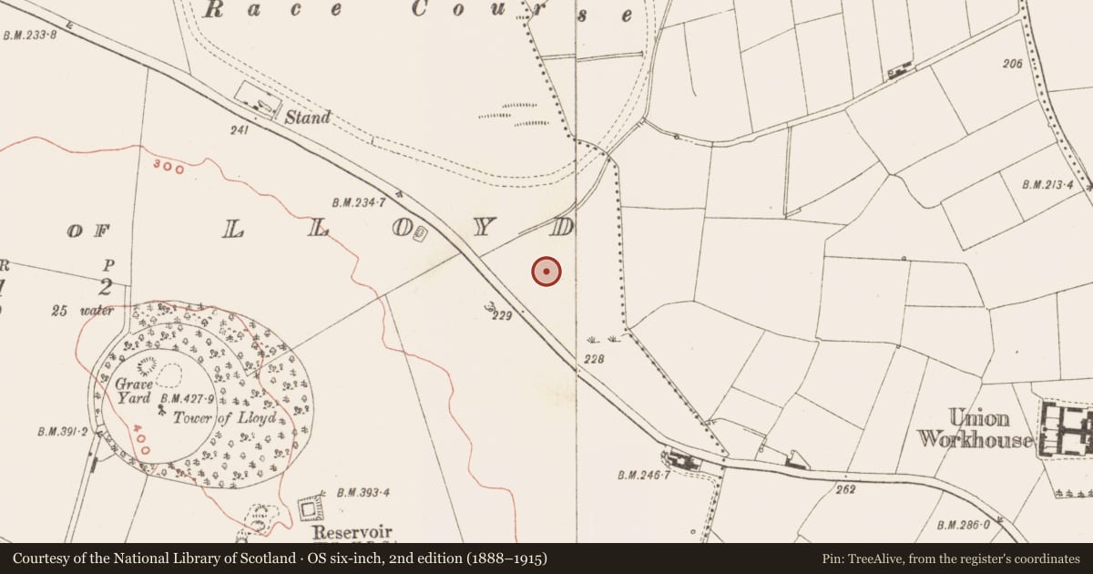 Ordnance Survey six-inch map, 2nd edition (1888–1915) covering the location of Ring-ditch, Commons of Lloyd, County Meath, with a pin at the register's coordinates