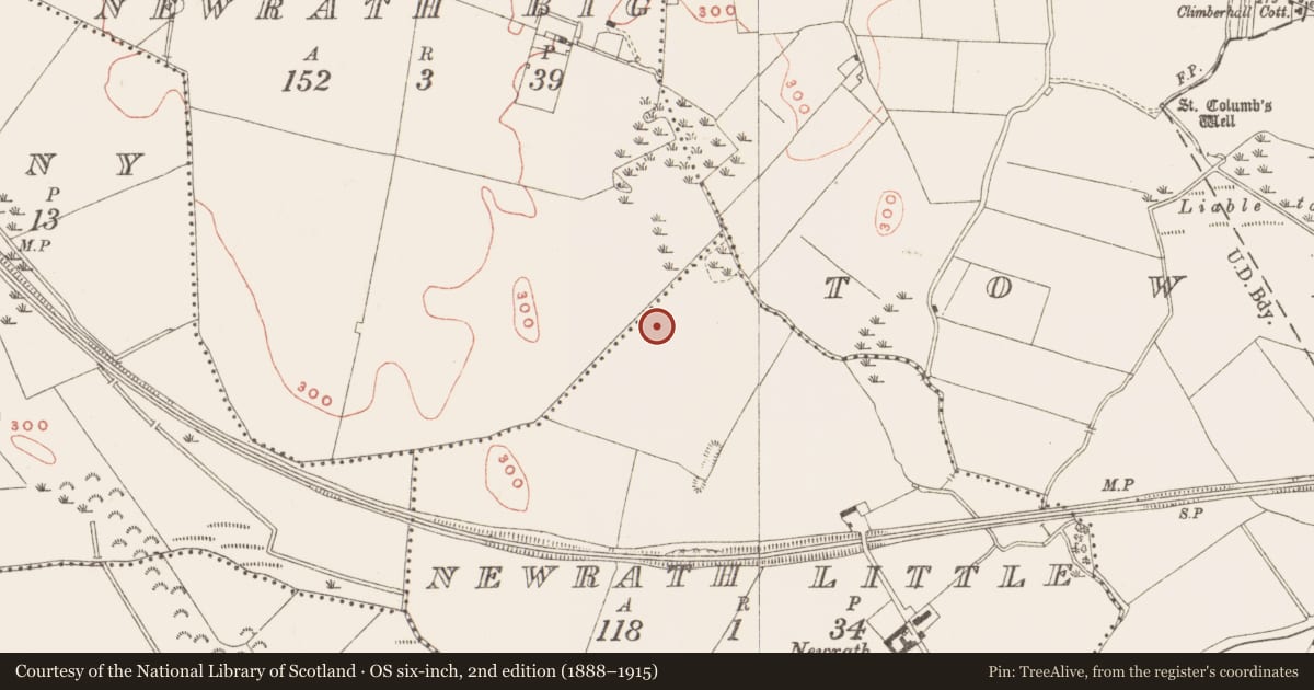 Ordnance Survey six-inch map, 2nd edition (1888–1915) covering the location of Fulacht fia, Newrath Little, County Meath, with a pin at the register's coordinates