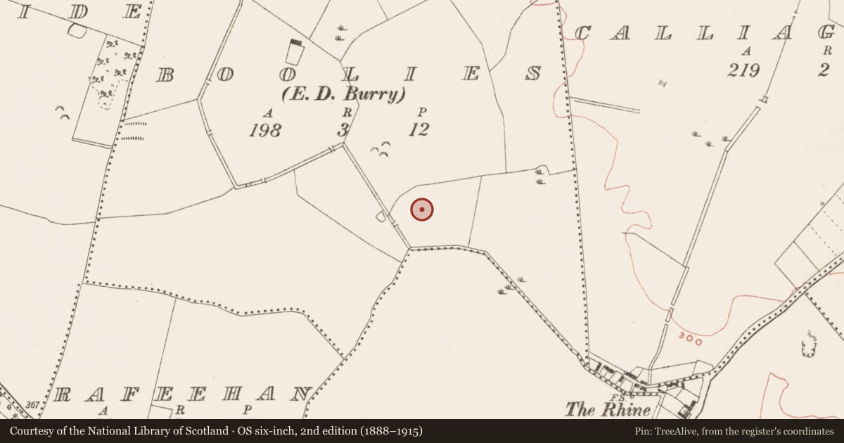 Ordnance Survey six-inch map, 2nd edition (1888–1915) covering the location of Enclosure, Boolies, County Meath, with a pin at the register's coordinates