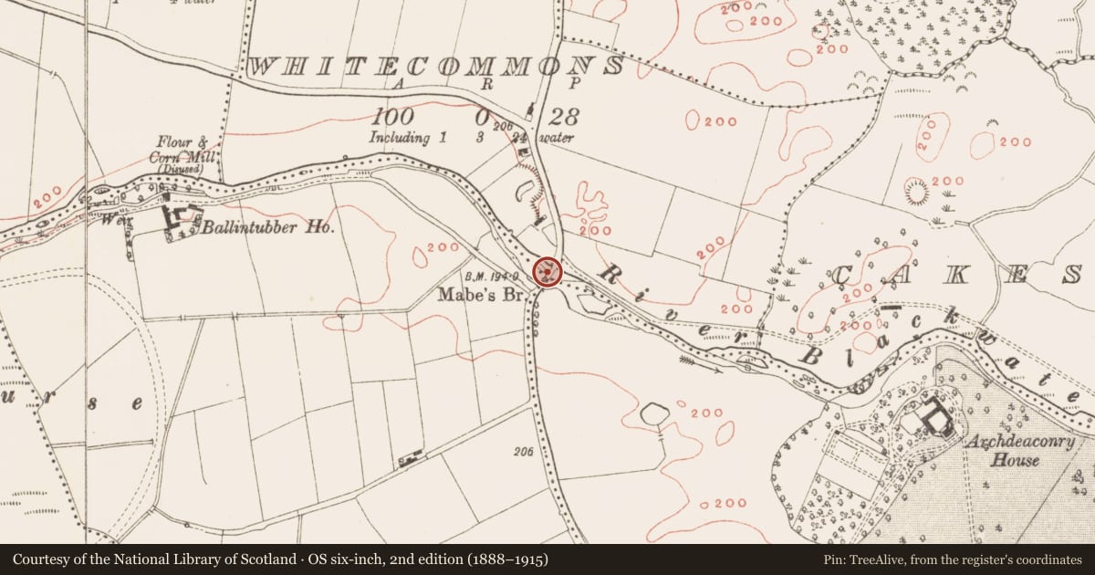 Ordnance Survey six-inch map, 2nd edition (1888–1915) covering the location of Bridge, County Meath, with a pin at the register's coordinates