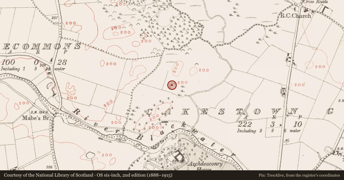 Ordnance Survey six-inch map, 2nd edition (1888–1915) covering the location of Ringfort - rath, Cakestown Glebe, County Meath, with a pin at the register's coordinates