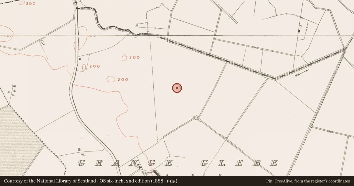 Ordnance Survey six-inch map, 2nd edition (1888–1915) covering the location of Ringfort - rath, Grange Glebe, County Meath, with a pin at the register's coordinates