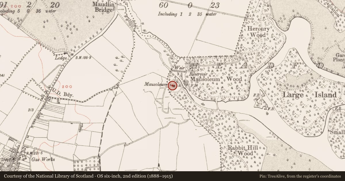 Ordnance Survey six-inch map, 2nd edition (1888–1915) covering the location of Mound, Headfort Demesne, County Meath, with a pin at the register's coordinates