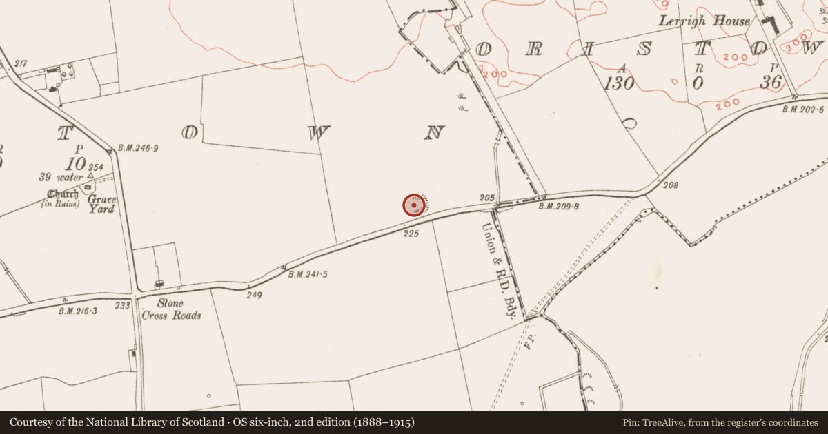 Ordnance Survey six-inch map, 2nd edition (1888–1915) covering the location of Ringfort - rath, Baile Órthaí, County Meath, with a pin at the register's coordinates