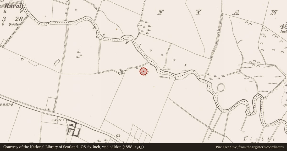 Ordnance Survey six-inch map, 2nd edition (1888–1915) covering the location of Moated site, Kilmainham (Headford), County Meath, with a pin at the register's coordinates