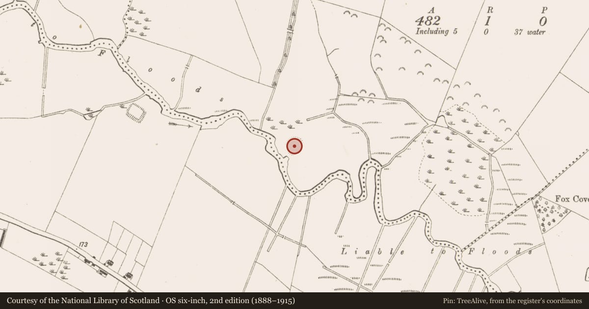 Ordnance Survey six-inch map, 2nd edition (1888–1915) covering the location of Ringfort - rath, Fyanstown, County Meath, with a pin at the register's coordinates