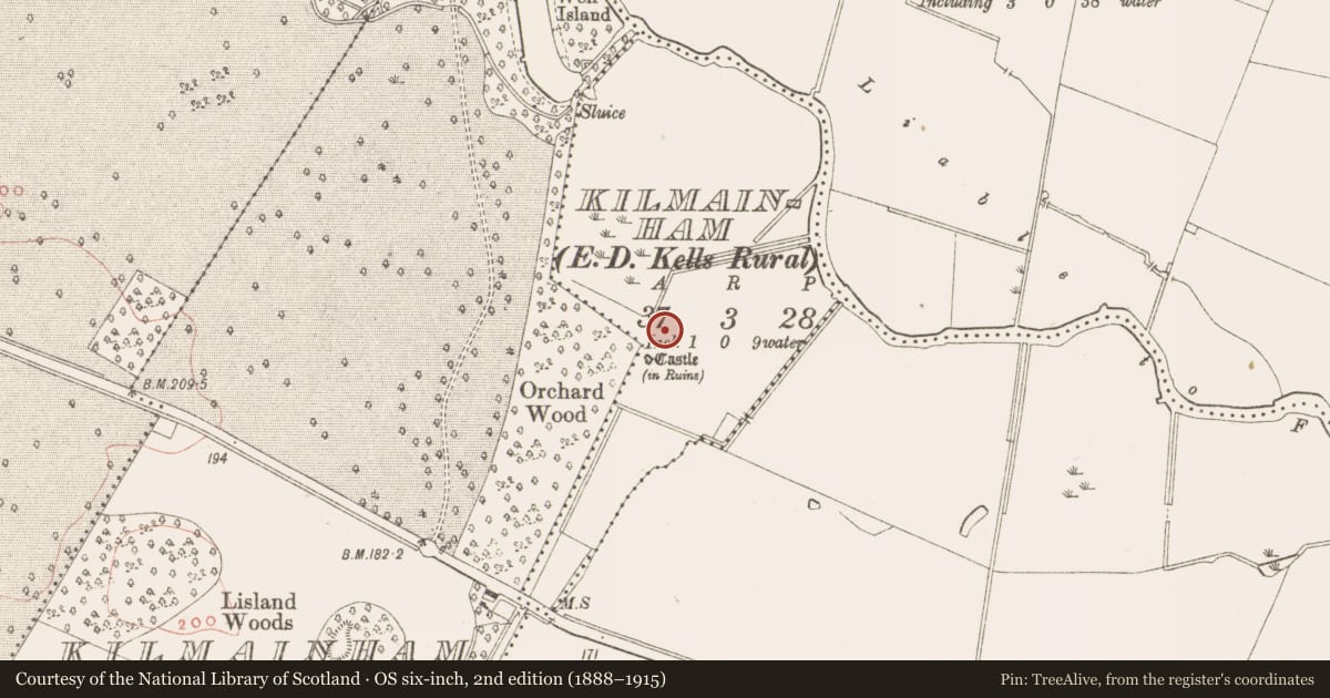 Ordnance Survey six-inch map, 2nd edition (1888–1915) covering the location of Field system, County Meath, with a pin at the register's coordinates