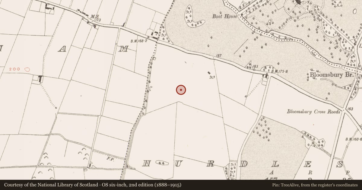 Ordnance Survey six-inch map, 2nd edition (1888–1915) covering the location of Field system, Hurdlestown, County Meath, with a pin at the register's coordinates