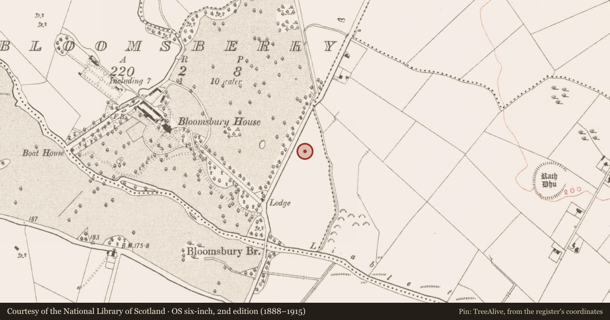 Ordnance Survey six-inch map, 2nd edition (1888–1915) covering the location of Enclosure, Bloomsberry (Kells Upper By., Donaghpatrick Par.), County Meath, with a pin at the register's coordinates