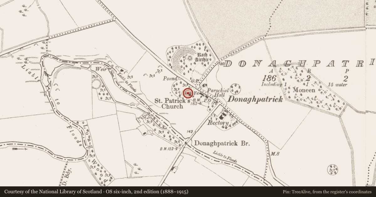 Ordnance Survey six-inch map, 2nd edition (1888–1915) covering the location of Armorial plaque (present location), Diméin Bhaile Ghib, County Meath, with a pin at the register's coordinates