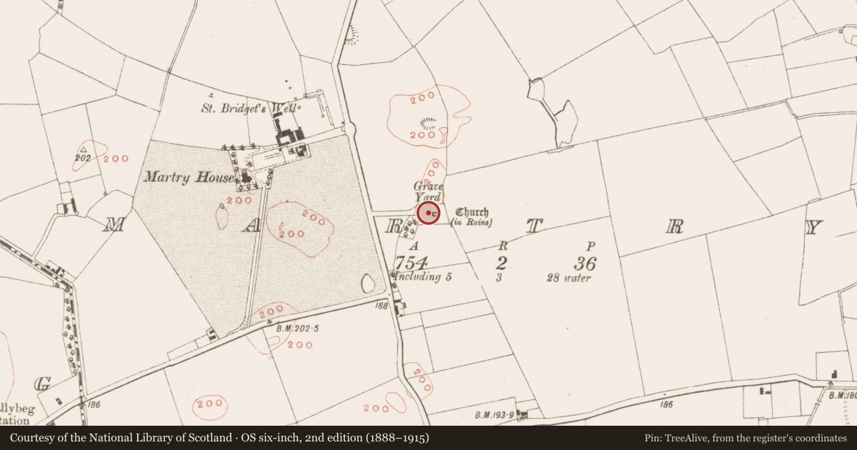 Ordnance Survey six-inch map, 2nd edition (1888–1915) covering the location of Graveyard, Martry, County Meath, with a pin at the register's coordinates