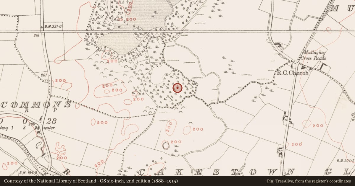 Ordnance Survey six-inch map, 2nd edition (1888–1915) covering the location of Mound, Dulane, County Meath, with a pin at the register's coordinates