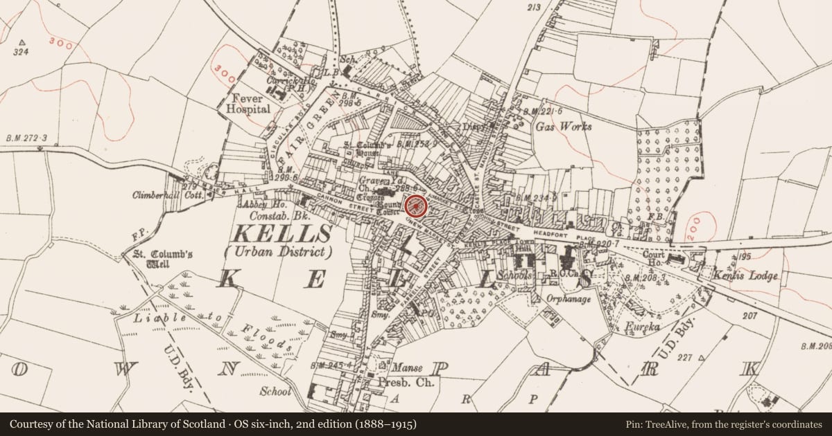 Ordnance Survey six-inch map, 2nd edition (1888–1915) covering the location of Historic town, Archdeaconry Glebe, Town Parks, County Meath, with a pin at the register's coordinates
