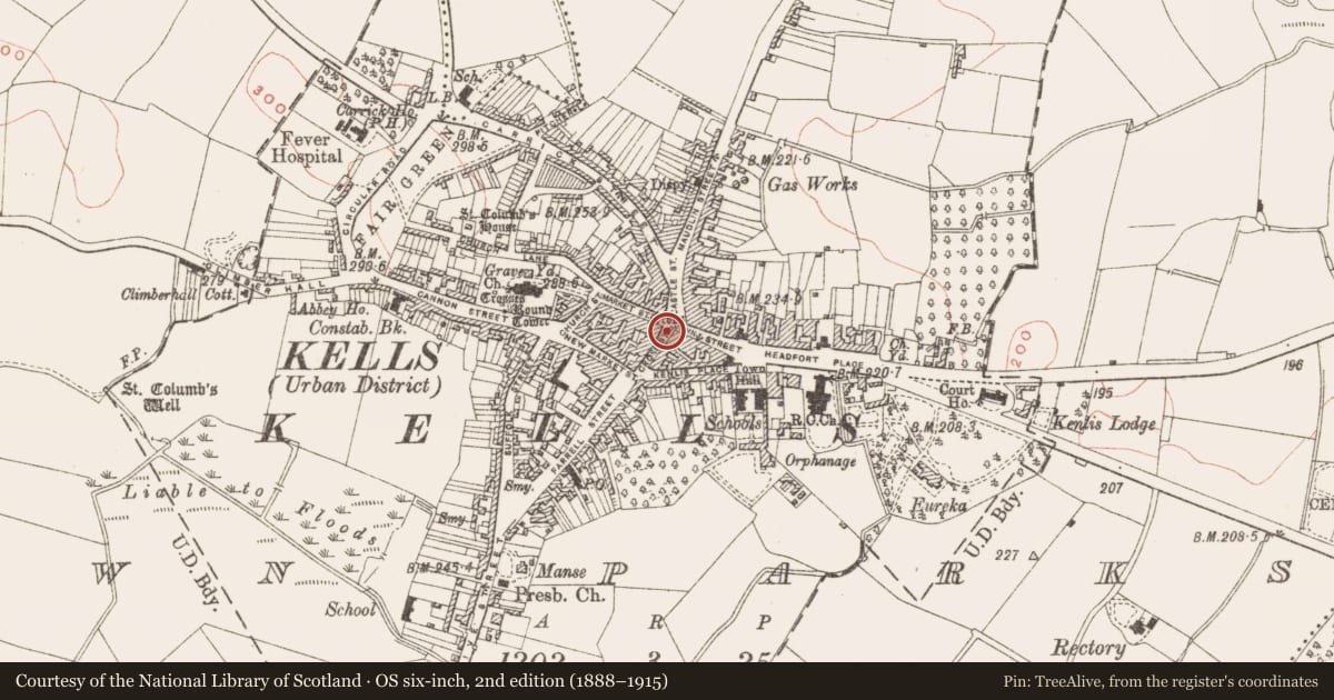 Ordnance Survey six-inch map, 2nd edition (1888–1915) covering the location of Cross - High cross, Town Parks, County Meath, with a pin at the register's coordinates
