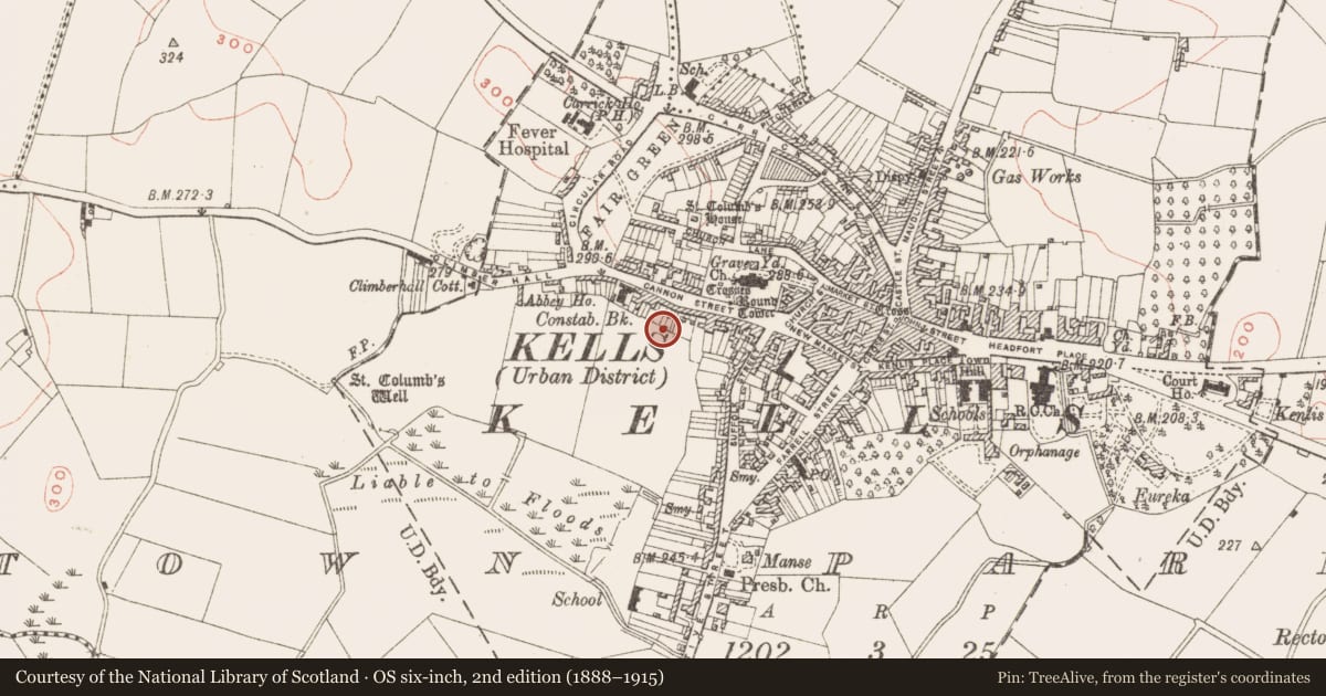 Ordnance Survey six-inch map, 2nd edition (1888–1915) covering the location of Town defences, Town Parks, County Meath, with a pin at the register's coordinates