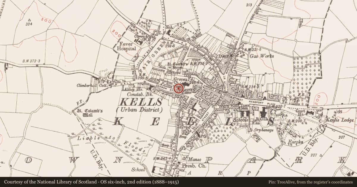 Ordnance Survey six-inch map, 2nd edition (1888–1915) covering the location of Cross - High cross, Town Parks, County Meath, with a pin at the register's coordinates