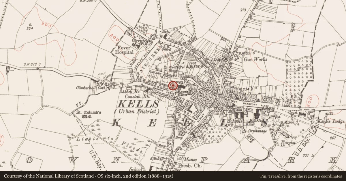 Ordnance Survey six-inch map, 2nd edition (1888–1915) covering the location of Cross - High cross, Town Parks, County Meath, with a pin at the register's coordinates