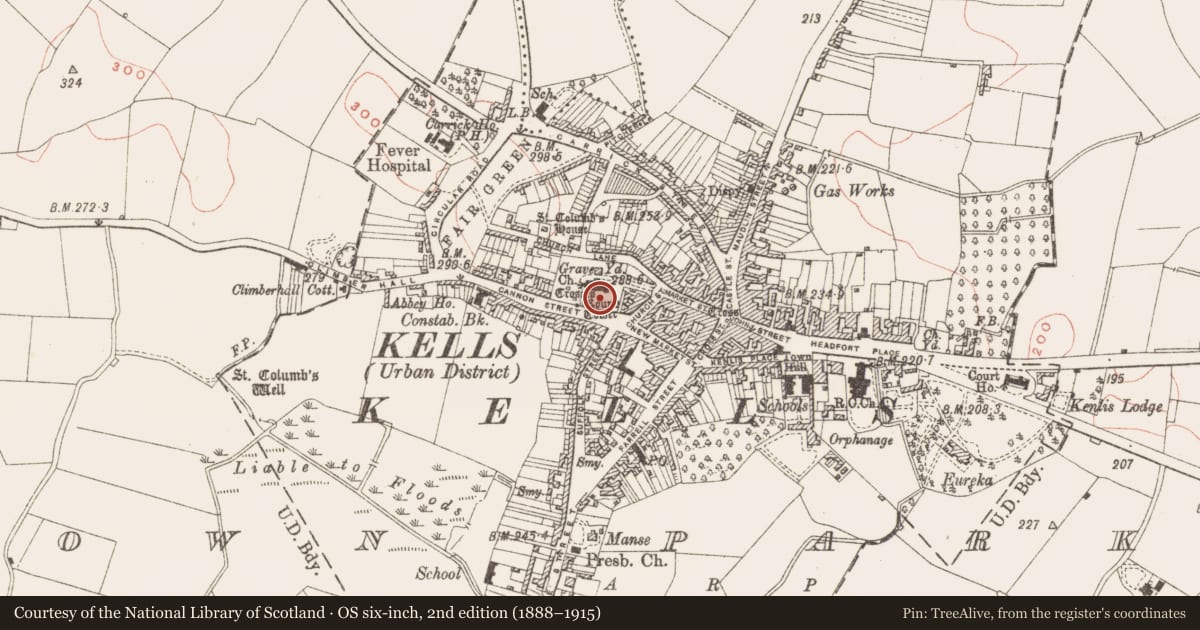 Ordnance Survey six-inch map, 2nd edition (1888–1915) covering the location of Cross - High cross, Town Parks, County Meath, with a pin at the register's coordinates