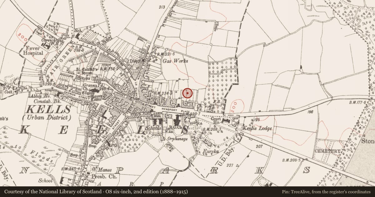 Ordnance Survey six-inch map, 2nd edition (1888–1915) covering the location of Well, Town Parks, County Meath, with a pin at the register's coordinates