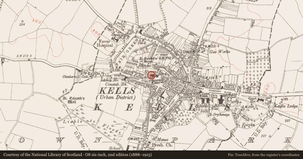 Ordnance Survey six-inch map, 2nd edition (1888–1915) covering the location of Cross-slab, Town Parks, County Meath, with a pin at the register's coordinates