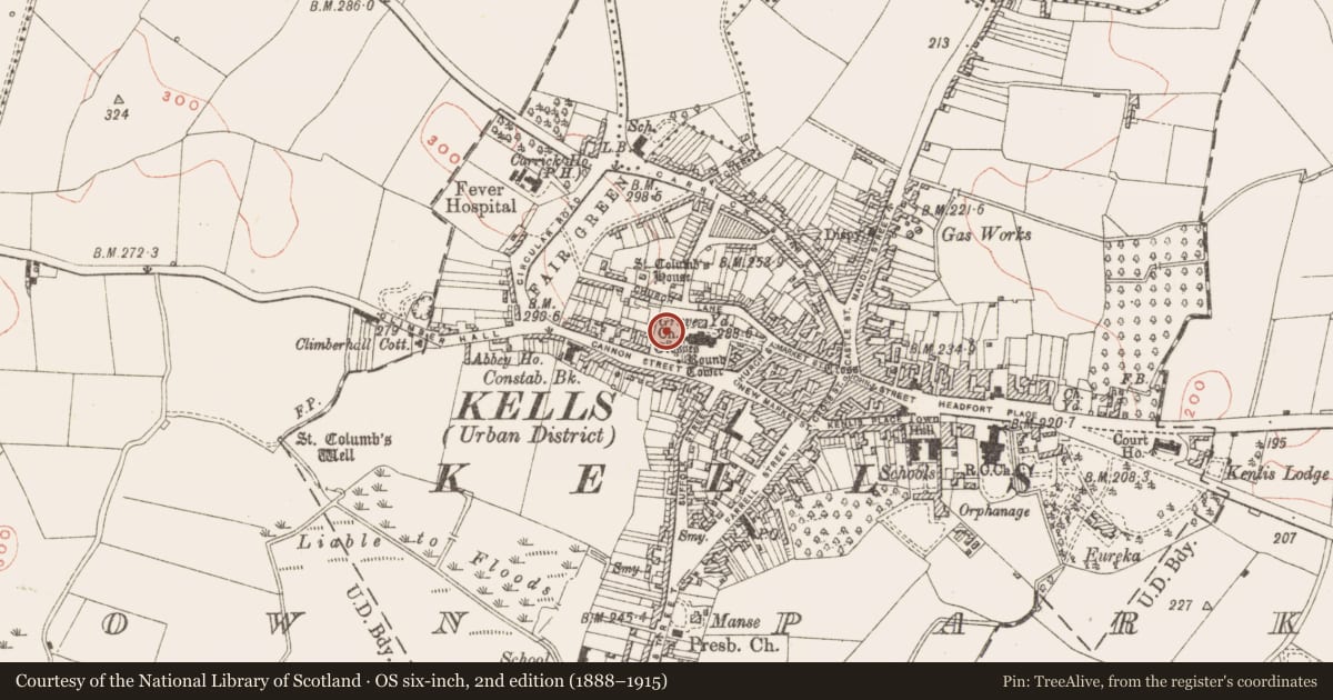 Ordnance Survey six-inch map, 2nd edition (1888–1915) covering the location of Graveyard, Town Parks, County Meath, with a pin at the register's coordinates