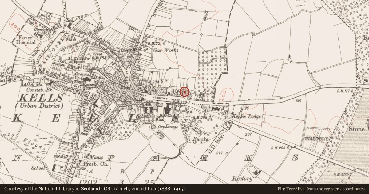 Ordnance Survey six-inch map, 2nd edition (1888–1915) covering the location of Graveslab, Town Parks, County Meath, with a pin at the register's coordinates