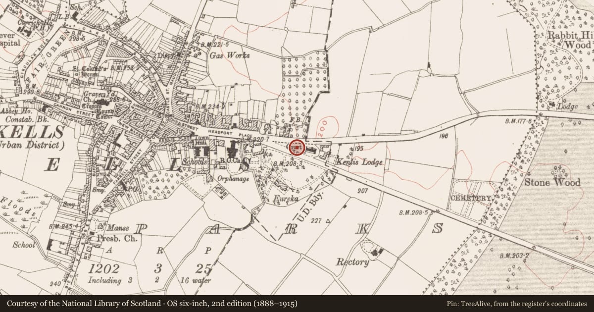 Ordnance Survey six-inch map, 2nd edition (1888–1915) covering the location of Cross - High cross (present location), Town Parks, County Meath, with a pin at the register's coordinates