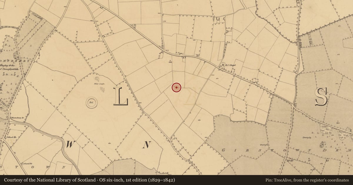 Ordnance Survey six-inch map, 1st edition (1829–1842) covering the location of Ceremonial enclosure, Baile Órthaí, County Meath, with a pin at the register's coordinates