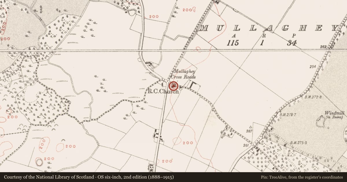 Ordnance Survey six-inch map, 2nd edition (1888–1915) covering the location of Cross-slab (present location), Cakestown Glebe, County Meath, with a pin at the register's coordinates