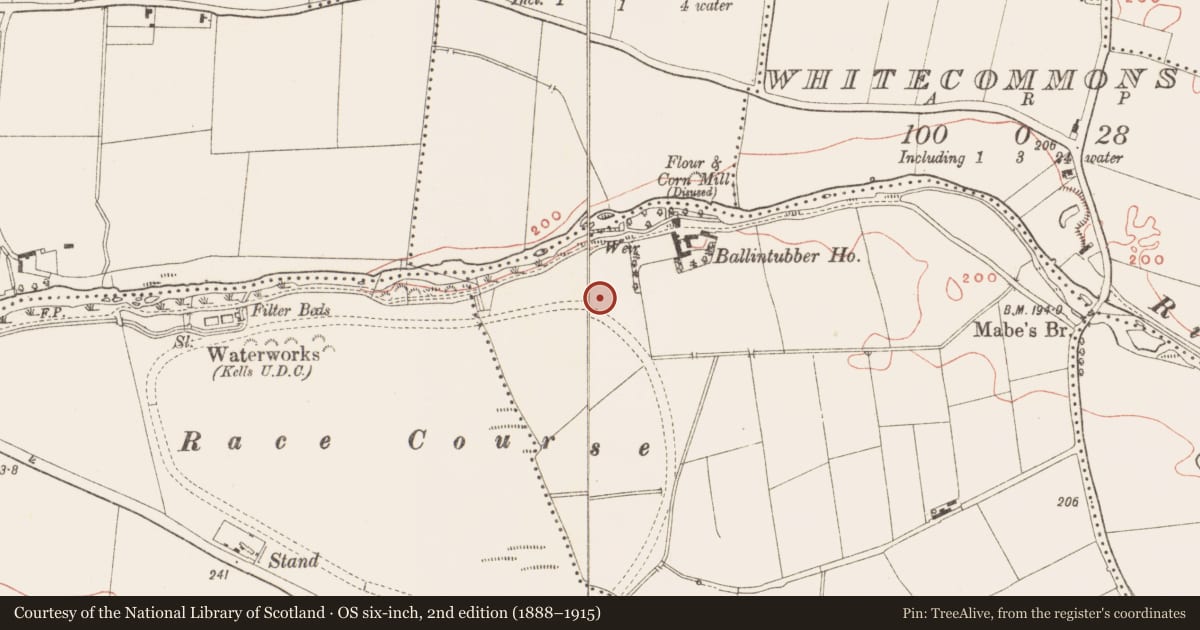 Ordnance Survey six-inch map, 2nd edition (1888–1915) covering the location of Timber circle, Town Parks, County Meath, with a pin at the register's coordinates