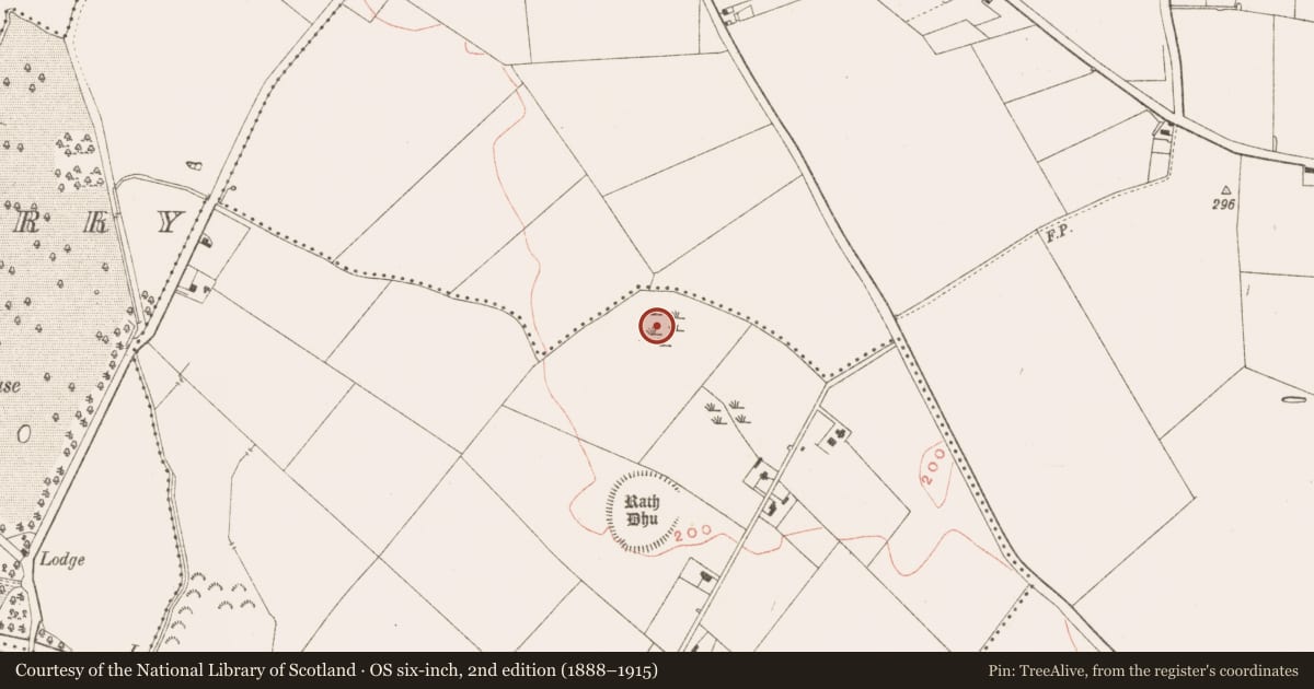 Ordnance Survey six-inch map, 2nd edition (1888–1915) covering the location of Ritual site - pond, Tailtin, County Meath, with a pin at the register's coordinates