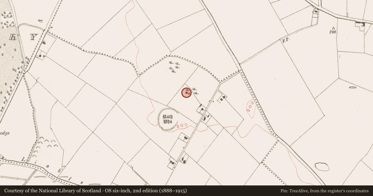 Ordnance Survey six-inch map, 2nd edition (1888–1915) covering the location of Ritual site - pond, Tailtin, County Meath, with a pin at the register's coordinates