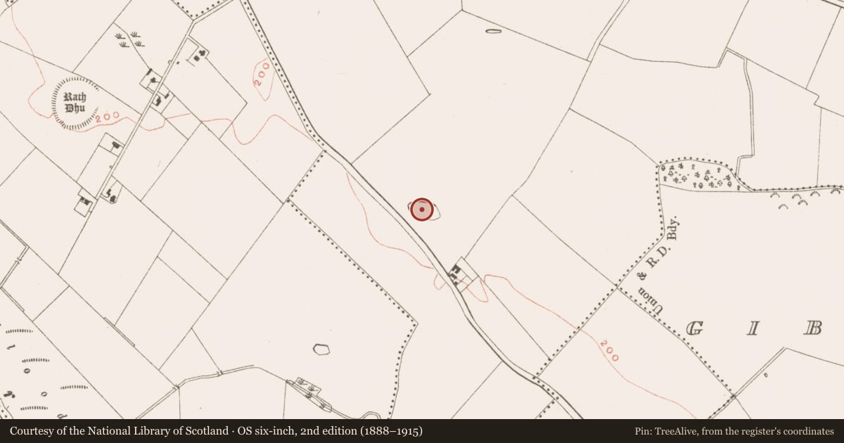 Ordnance Survey six-inch map, 2nd edition (1888–1915) covering the location of Ritual site - pond, Baile Órthaí, County Meath, with a pin at the register's coordinates