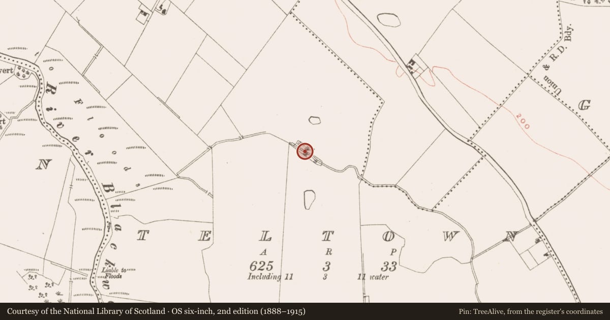 Ordnance Survey six-inch map, 2nd edition (1888–1915) covering the location of Ritual site - pond, Tailtin, County Meath, with a pin at the register's coordinates