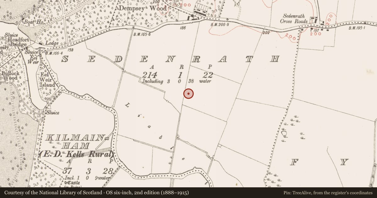 Ordnance Survey six-inch map, 2nd edition (1888–1915) covering the location of Ringfort - rath, Sedenrath, County Meath, with a pin at the register's coordinates