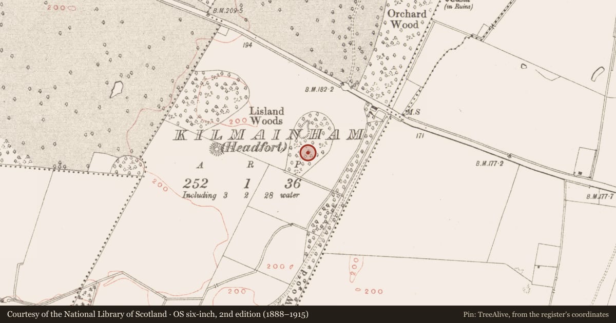 Ordnance Survey six-inch map, 2nd edition (1888–1915) covering the location of Ring-ditch, Kilmainham (Headford), County Meath, with a pin at the register's coordinates