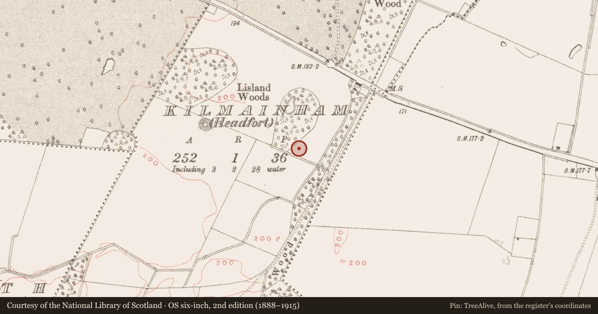 Ordnance Survey six-inch map, 2nd edition (1888–1915) covering the location of Enclosure, Kilmainham (Headford), County Meath, with a pin at the register's coordinates