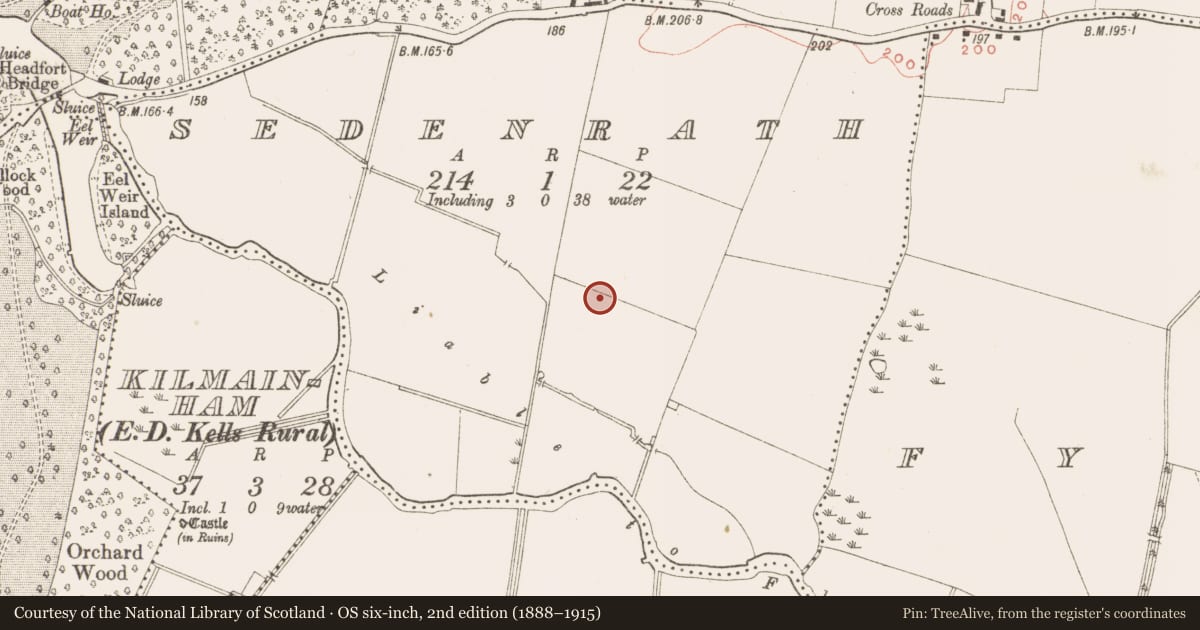 Ordnance Survey six-inch map, 2nd edition (1888–1915) covering the location of Enclosure, Sedenrath, County Meath, with a pin at the register's coordinates