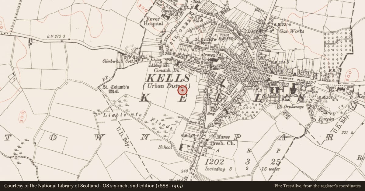 Ordnance Survey six-inch map, 2nd edition (1888–1915) covering the location of Burial, Town Parks, County Meath, with a pin at the register's coordinates