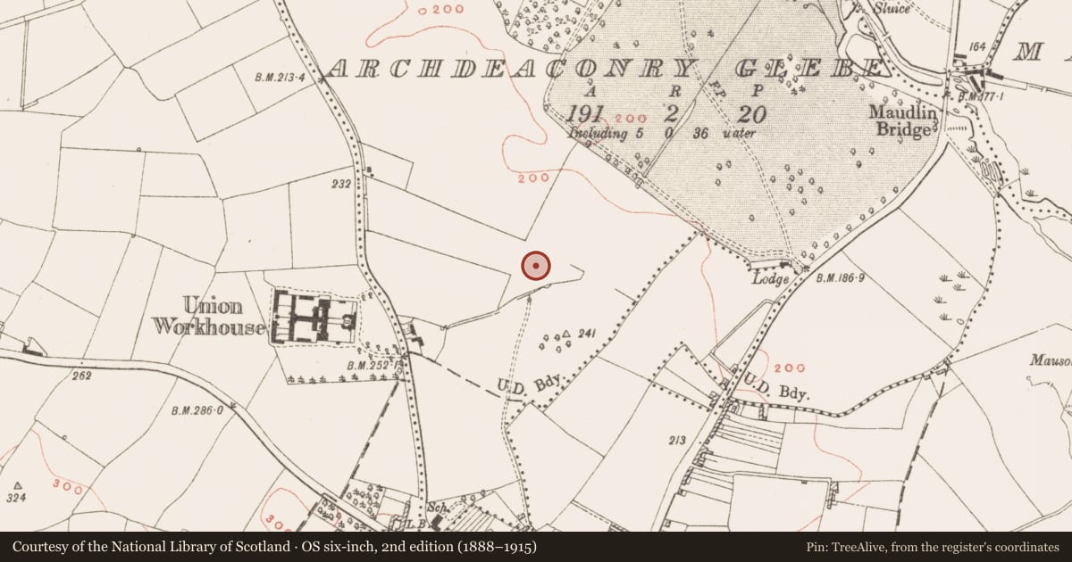 Ordnance Survey six-inch map, 2nd edition (1888–1915) covering the location of Fulacht fia, Archdeaconry Glebe, County Meath, with a pin at the register's coordinates