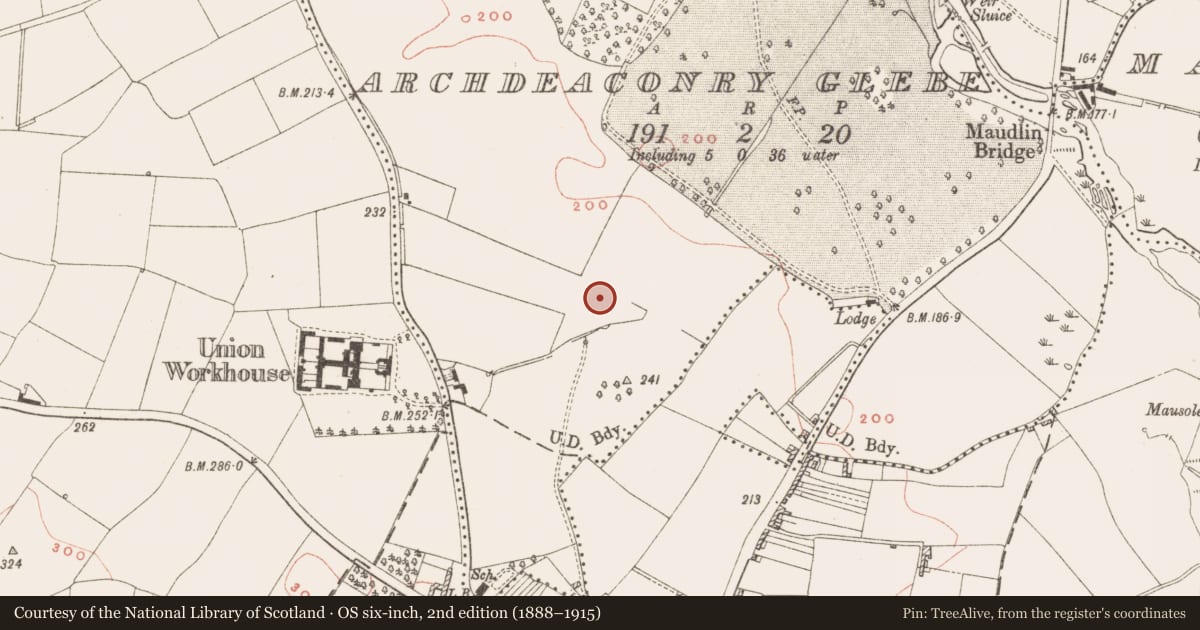 Ordnance Survey six-inch map, 2nd edition (1888–1915) covering the location of Fulacht fia, Archdeaconry Glebe, County Meath, with a pin at the register's coordinates